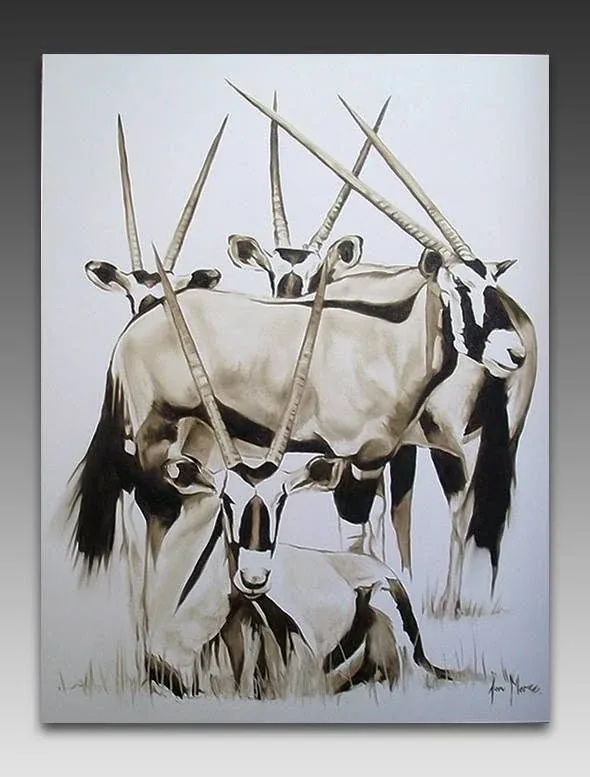 A group of gemsbok with long upright horns